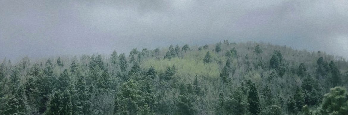jamisonblackk's profile banner image