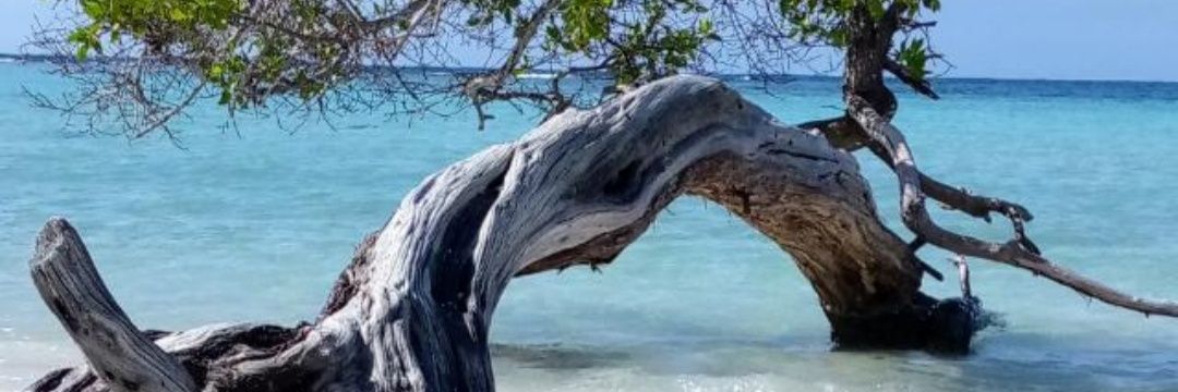 franlopez_13's profile banner image