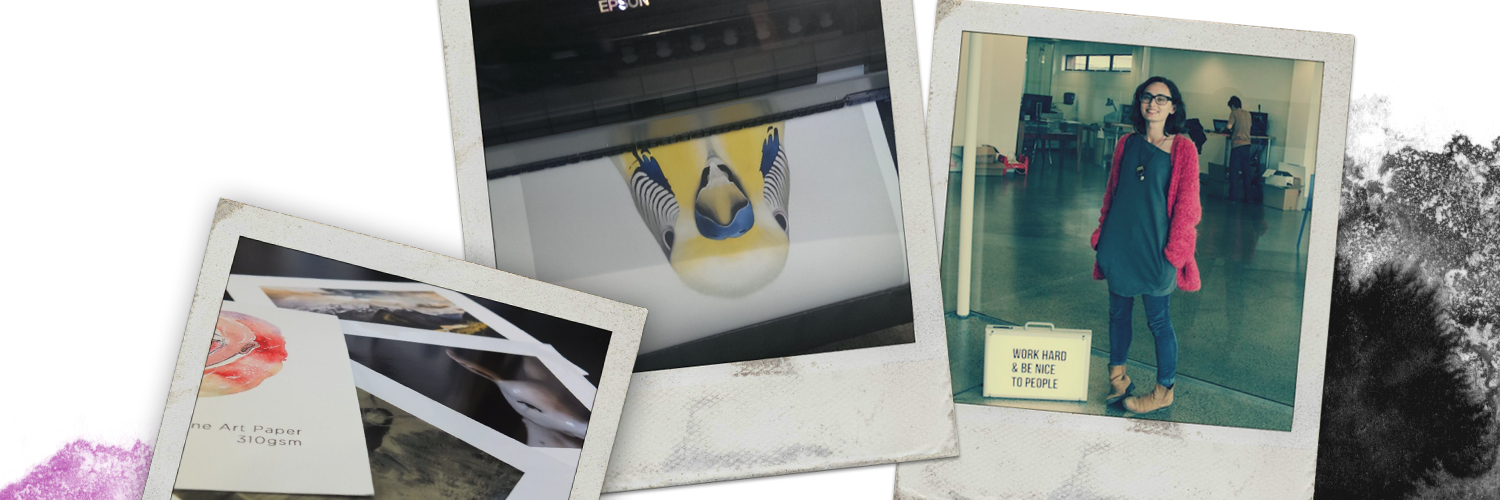 ThePrintRoomAKL's profile banner image
