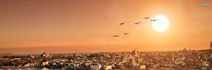 mrv_mzf's profile banner image