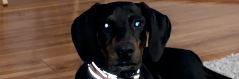 K_Miller_10's profile banner image