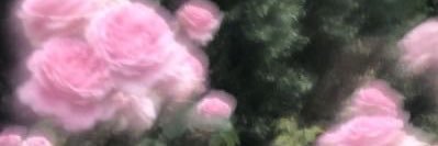 rawa4400's profile banner image