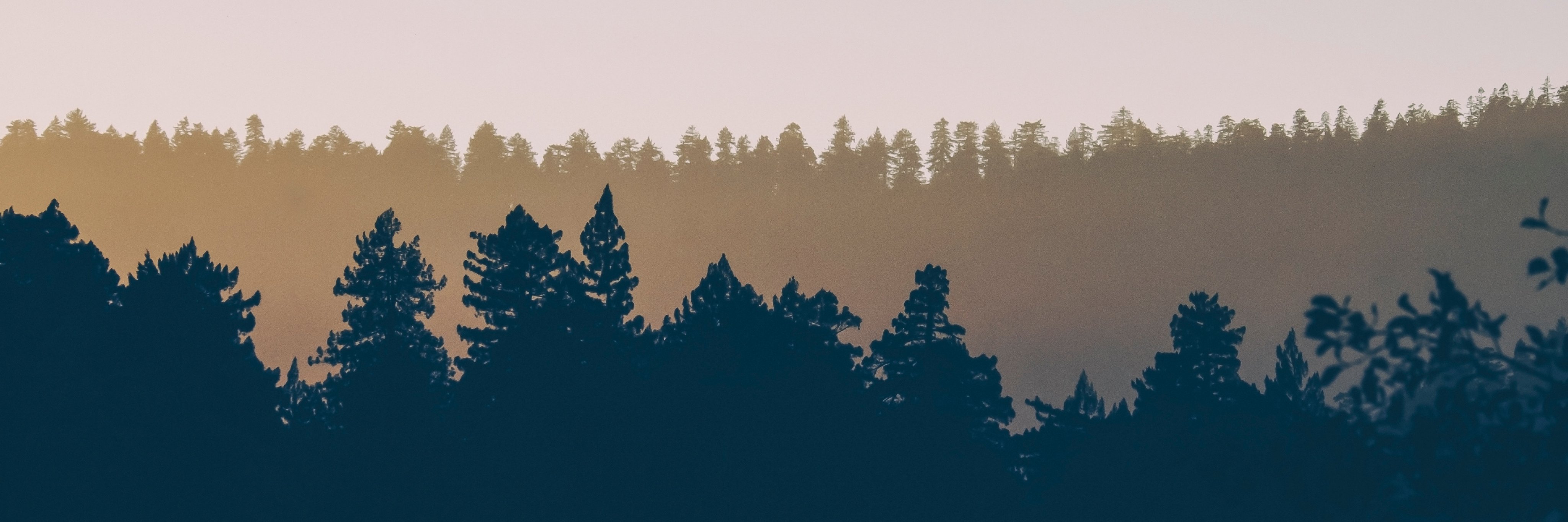 pimeneses's profile banner image