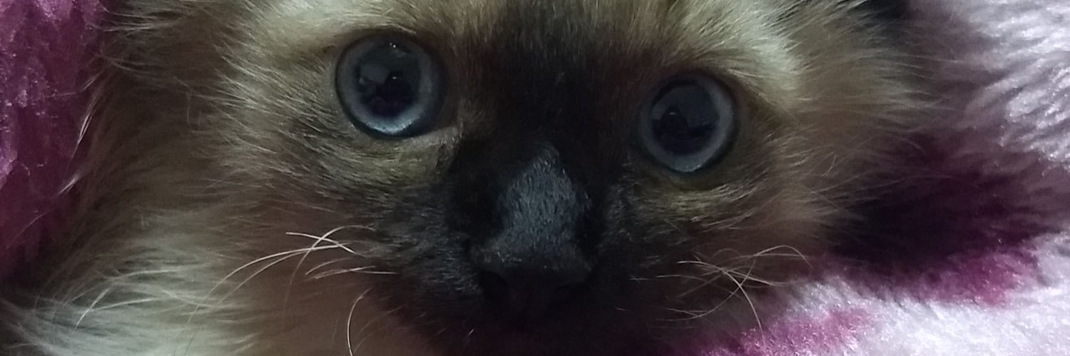 _SoulMoon's profile banner image