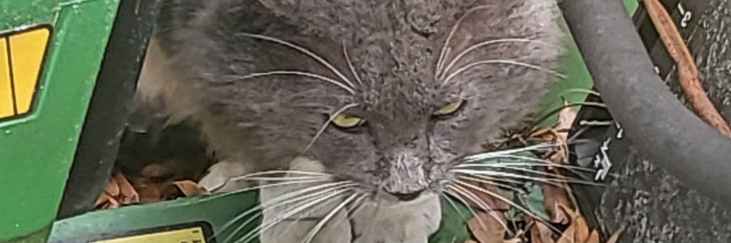 Eric_J_Abbott's profile banner image