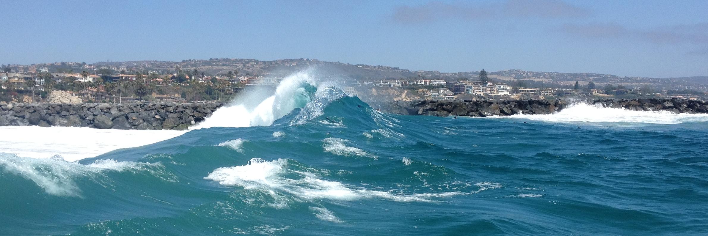 Randy Lempert banner