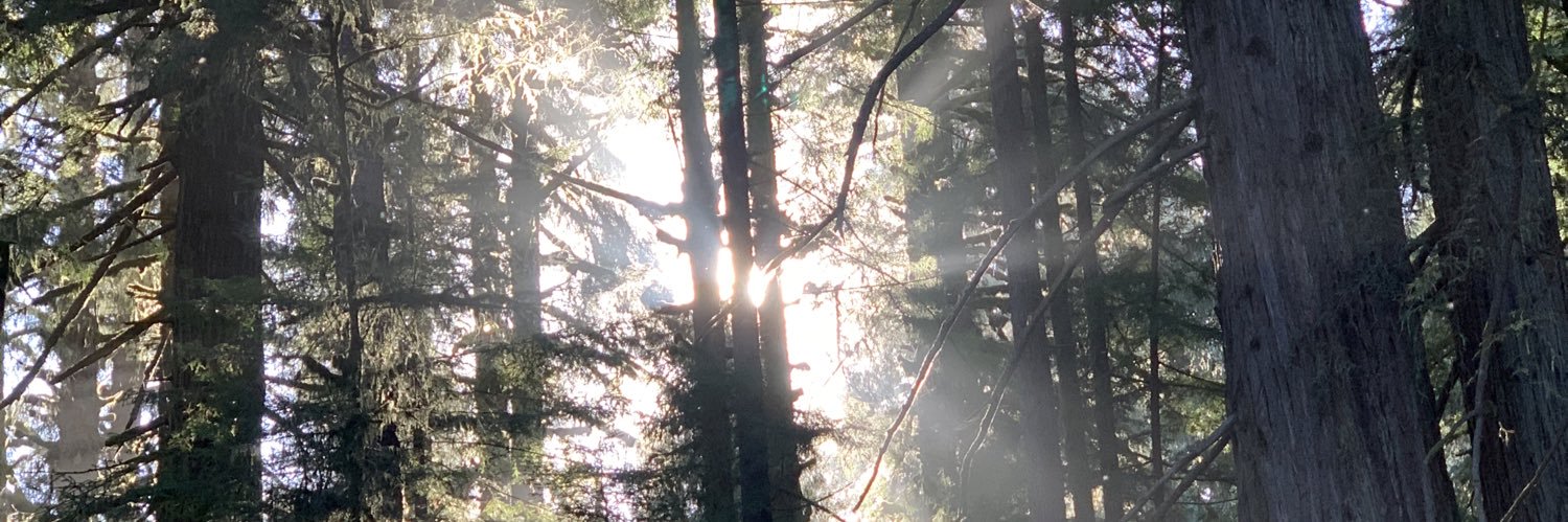 augustkoster's profile banner image