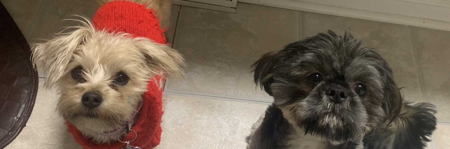 victoriaamarr's profile banner image