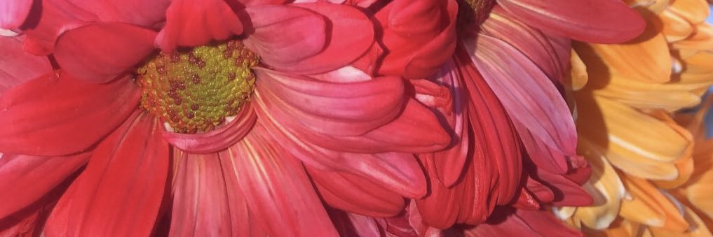 jessatuchi's profile banner image