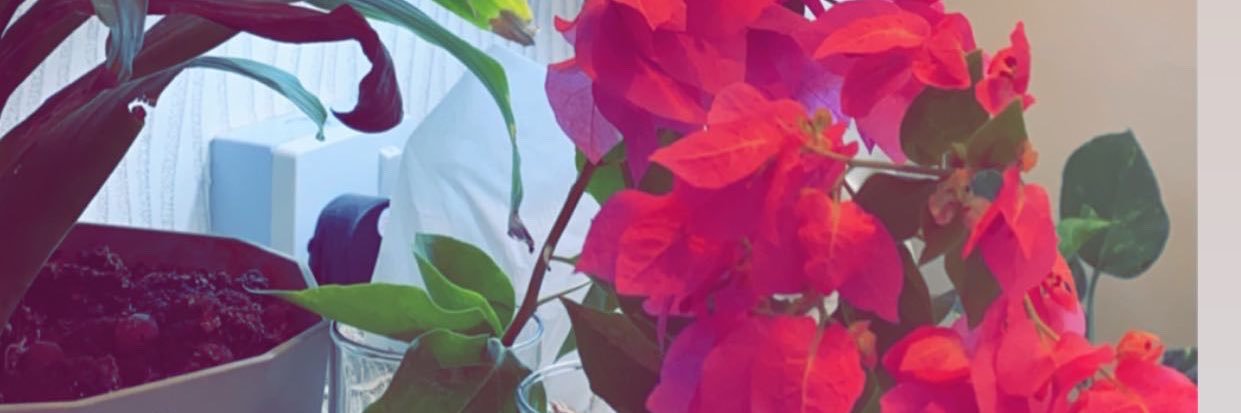 sheeehana's profile banner image