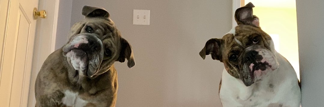 charles7__'s profile banner image