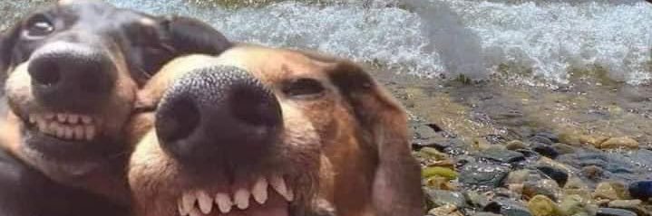 bofadeez98's profile banner image