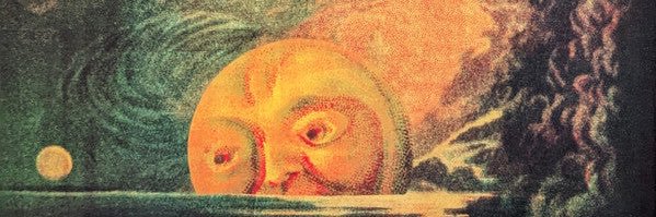 danielastamez's profile banner image