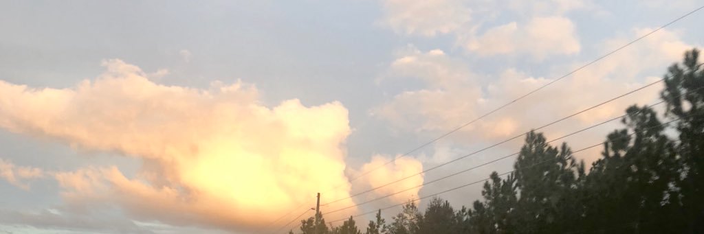 dreamata_'s profile banner image