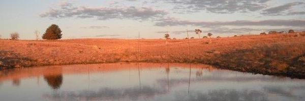 ramsheadbats Profile Banner