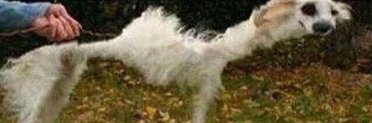 BruceDacklerr's profile banner image