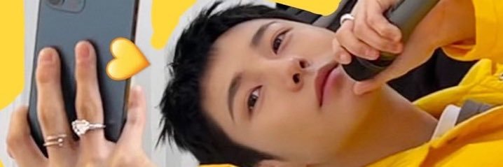 LSY banner