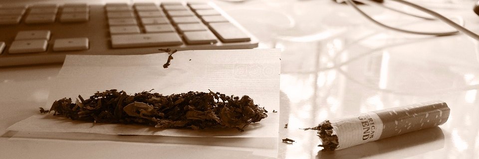 CANNABISABOGADO's profile banner image
