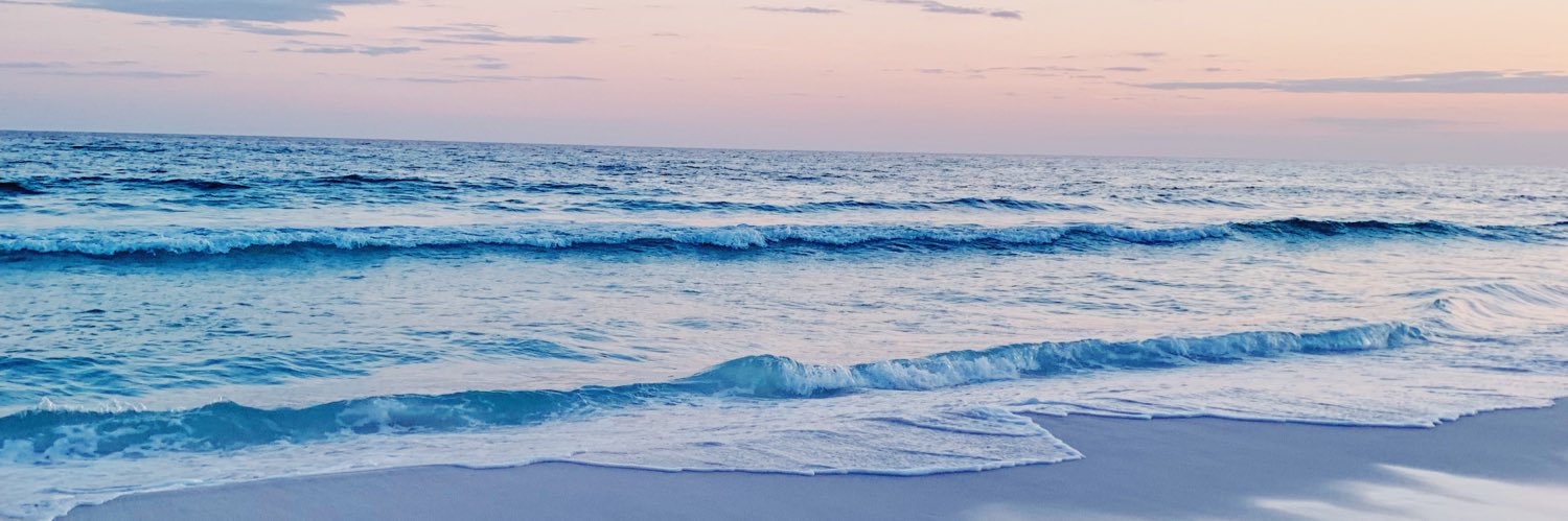 ellenbrown05's profile banner image
