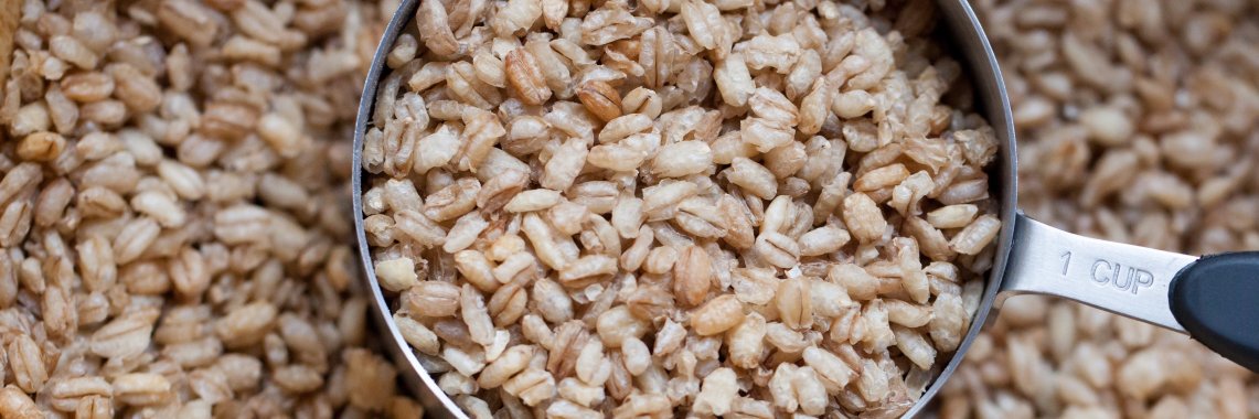 Snappy Grains banner