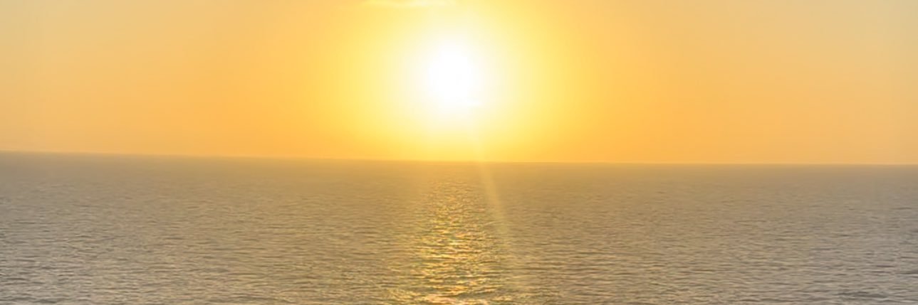NicciNickyNicki's profile banner image