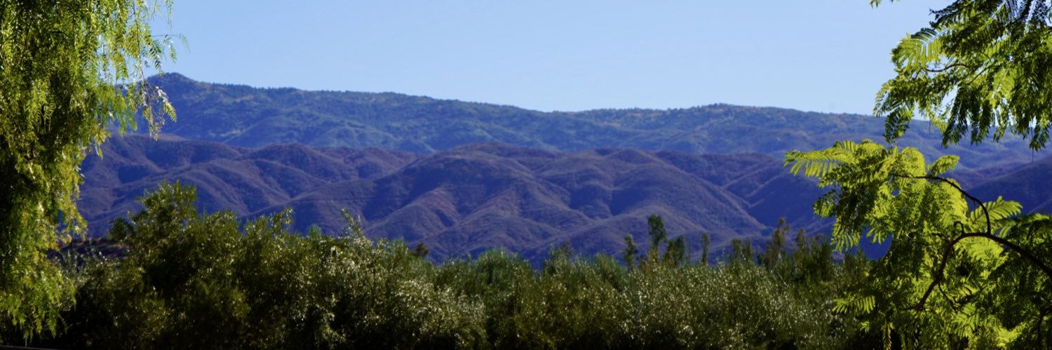 wtflizbian's profile banner image