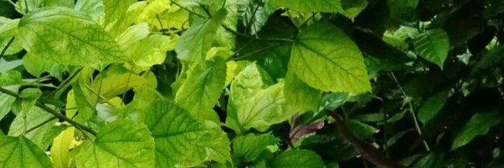 Aadarsh73's profile banner image