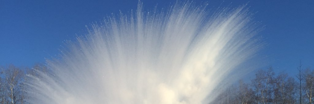 Natalie McCormick banner