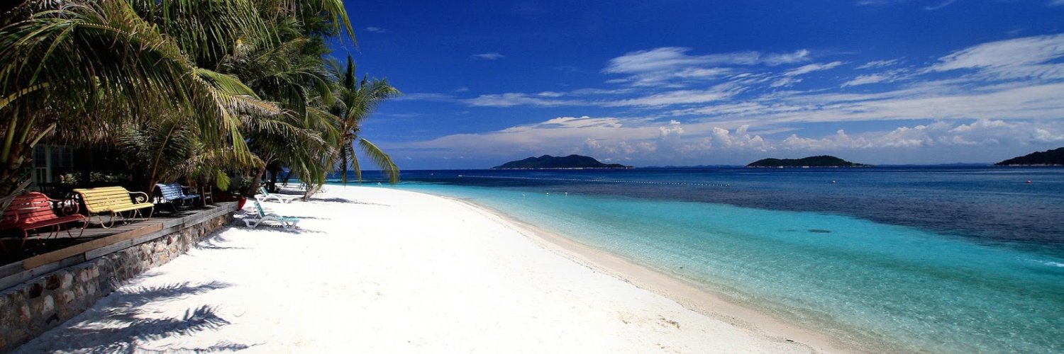 葵🌸プレゼント企画中🌸相互フォローします！ banner