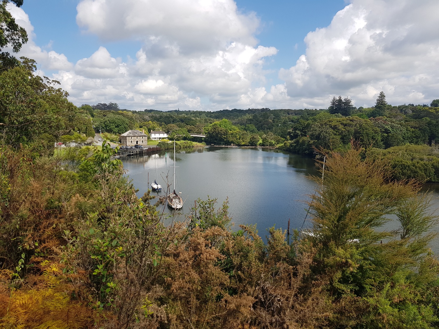 Danielle Colenbrander banner