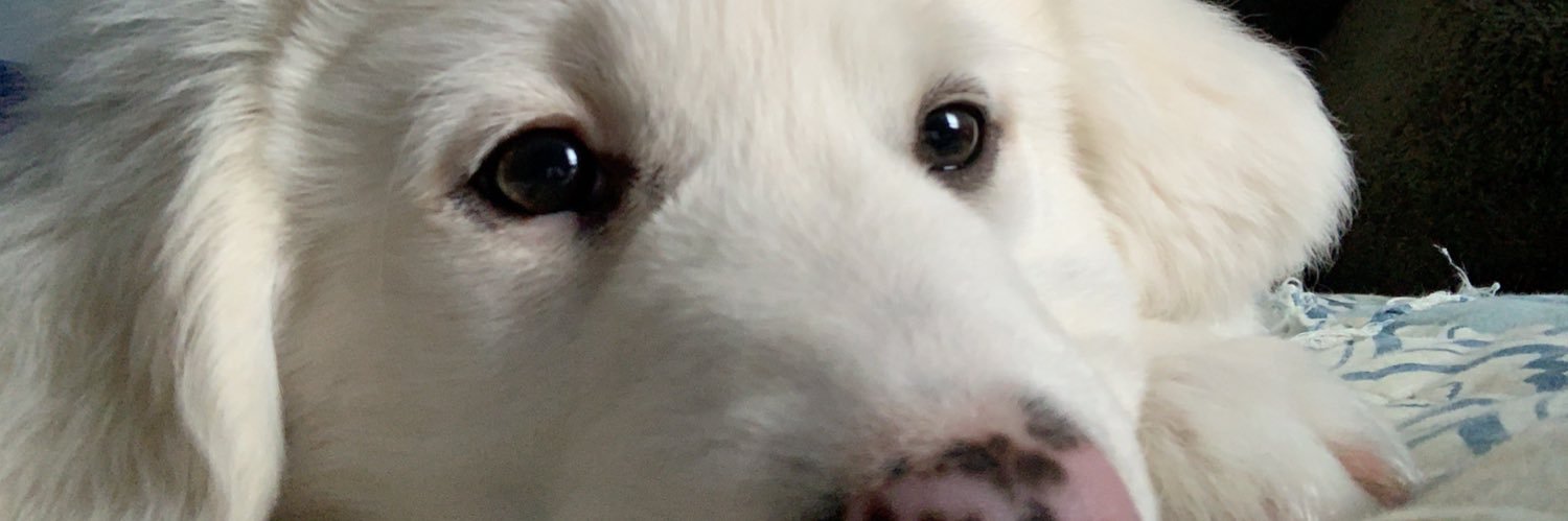 brishriver's profile banner image