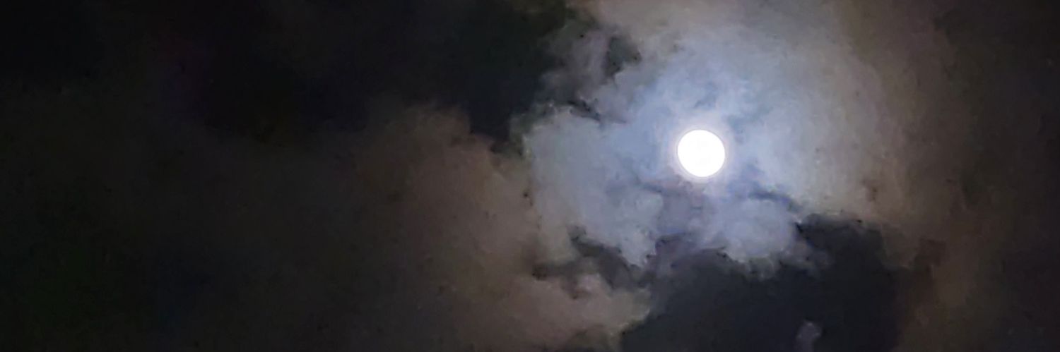 Estp_highD's profile banner image