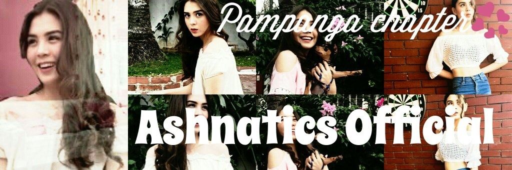 AshnaticsPAMP's profile banner image
