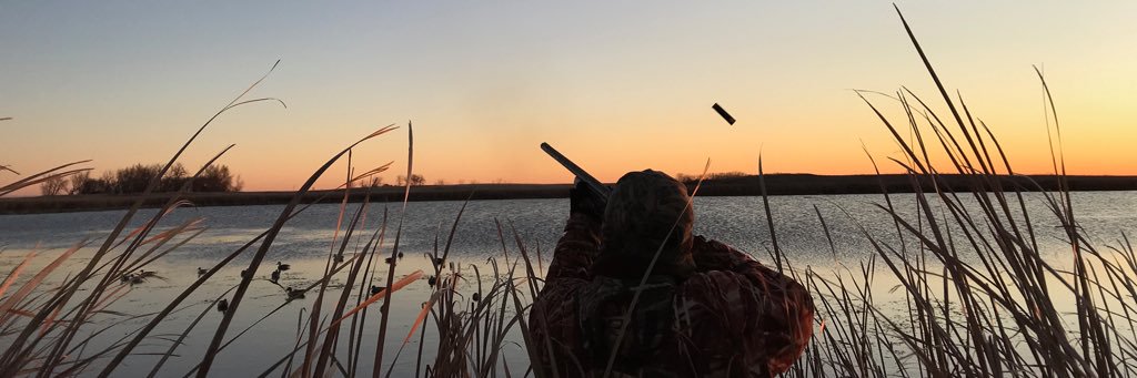 esoxbox's profile banner image