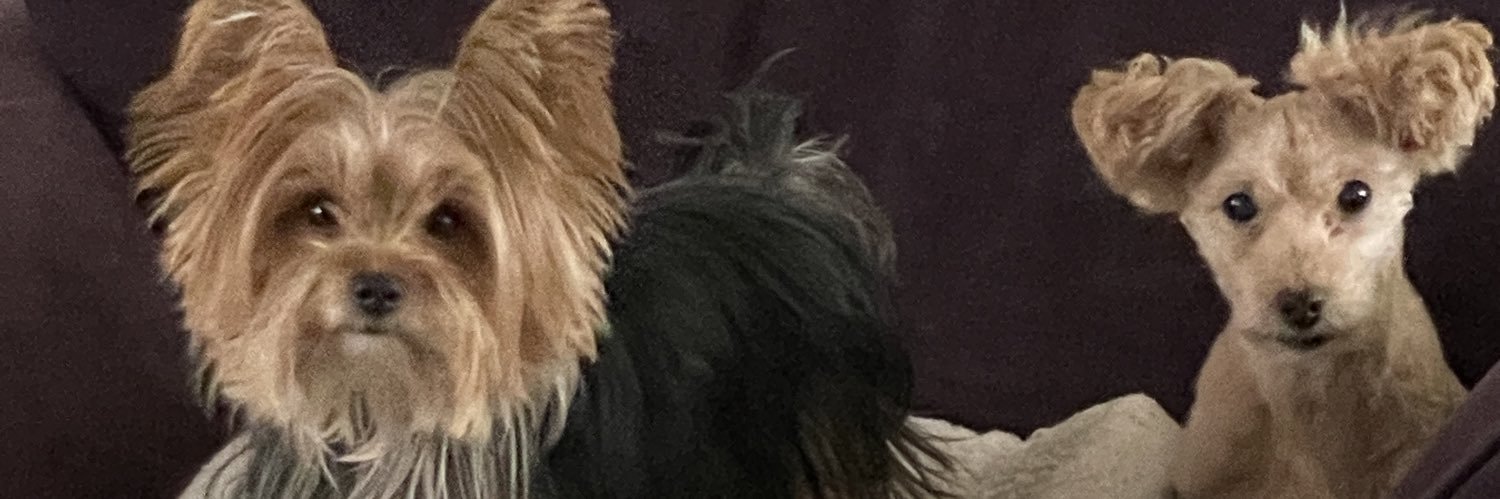 StampinbugKerry's profile banner image