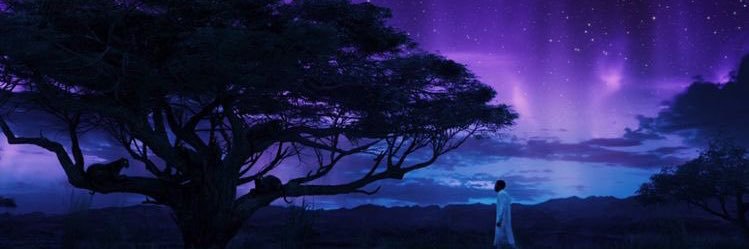 a2k_28's profile banner image
