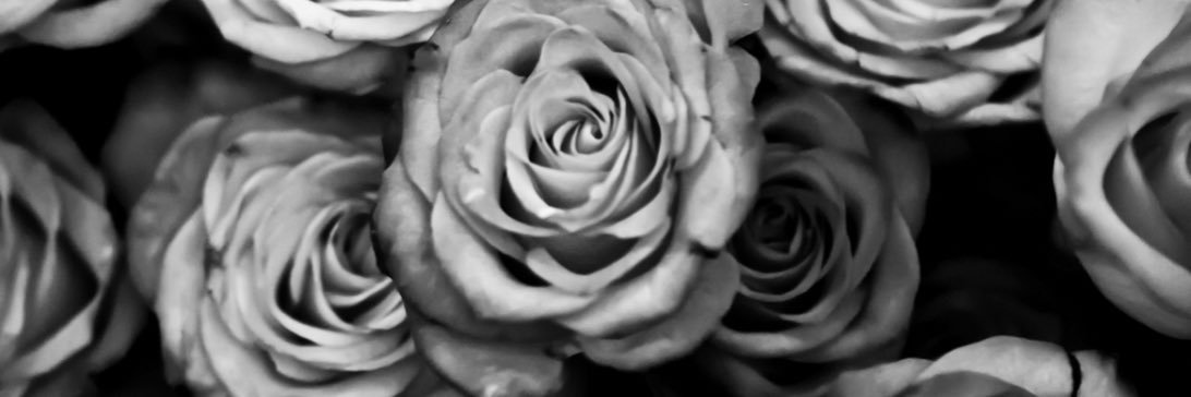 _KILLANDIA_'s profile banner image