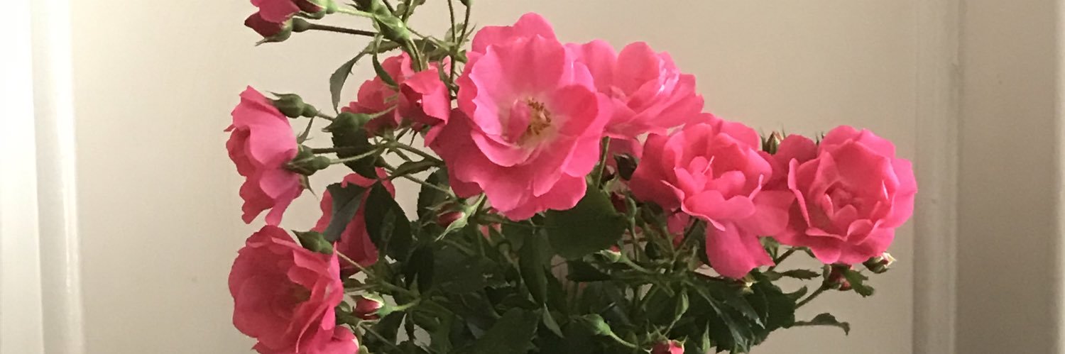 TheScreamingDan's profile banner image
