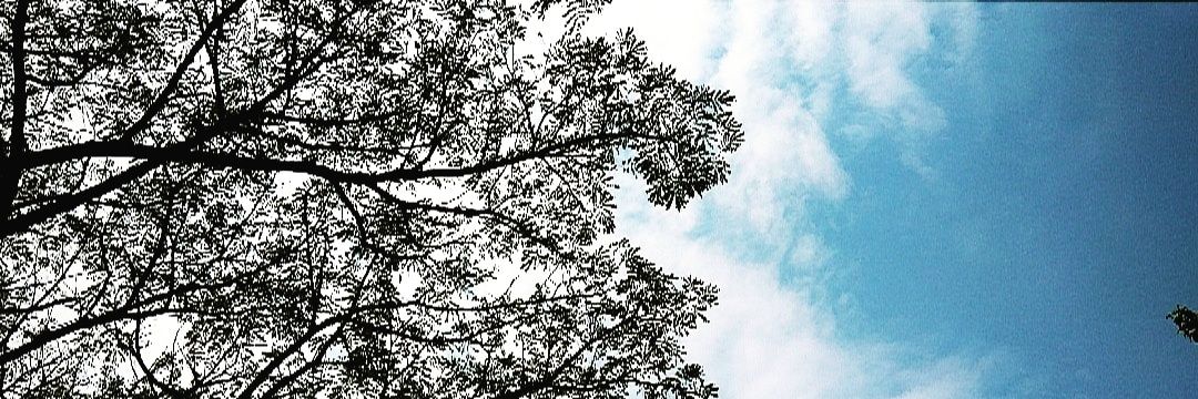 arteleis's profile banner image