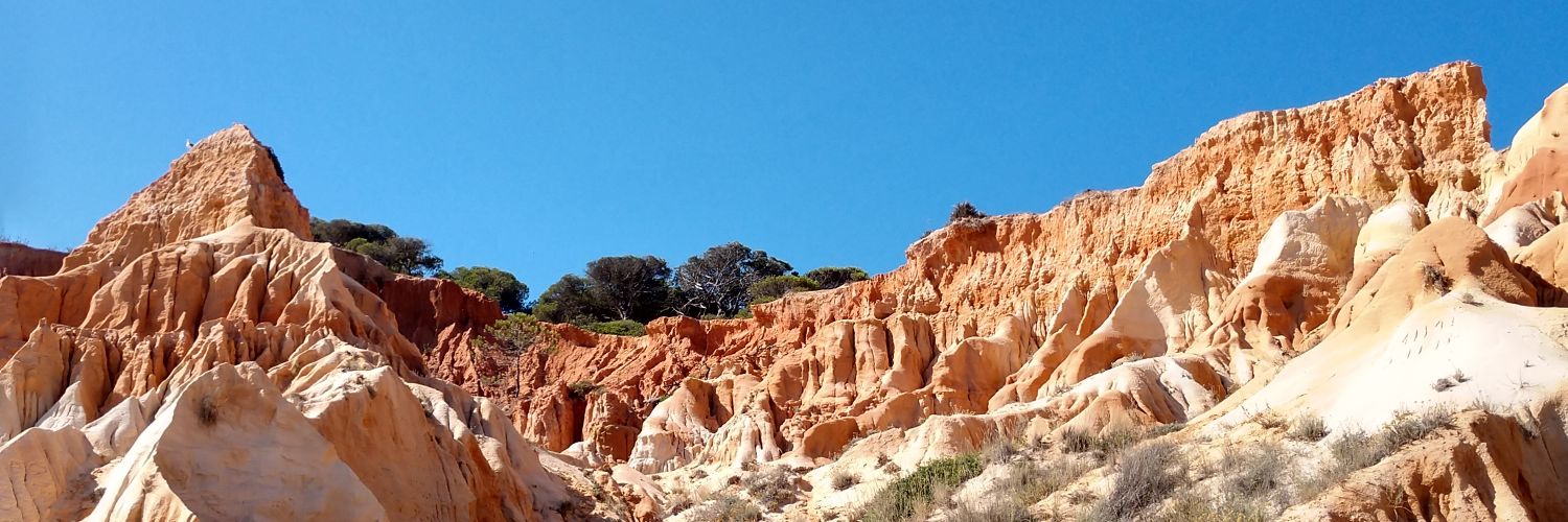 dantefdz10's profile banner image