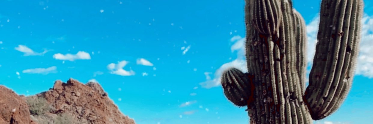 pxh19's profile banner image