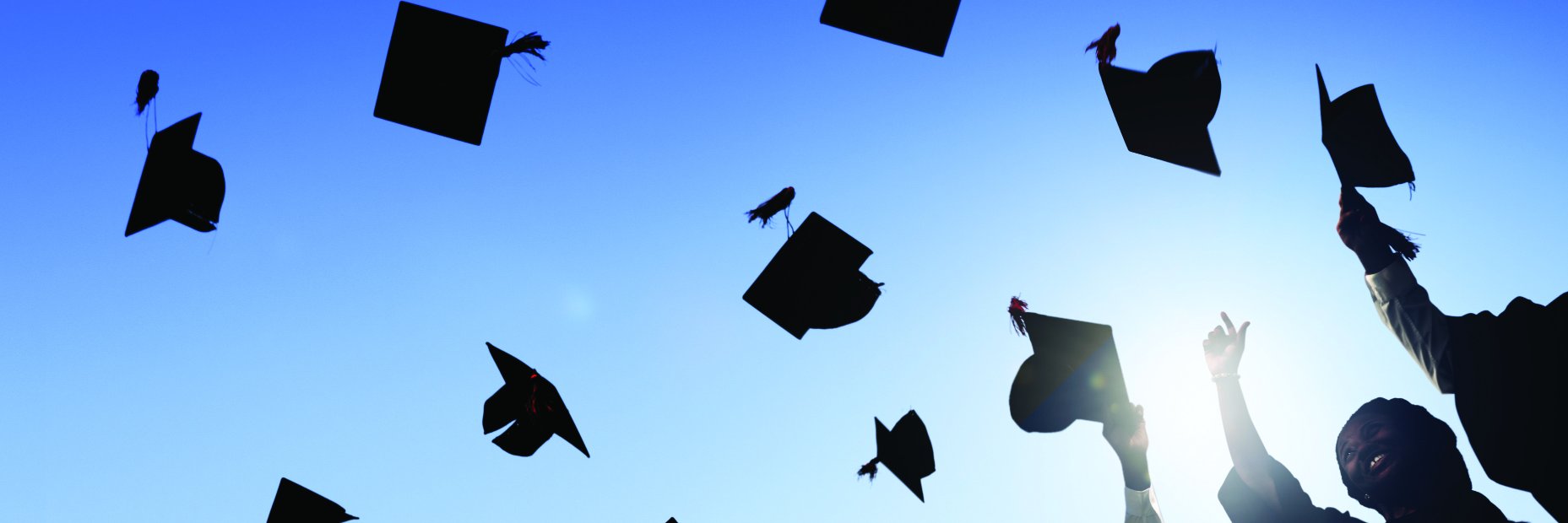 UMSTUniversity's profile banner image