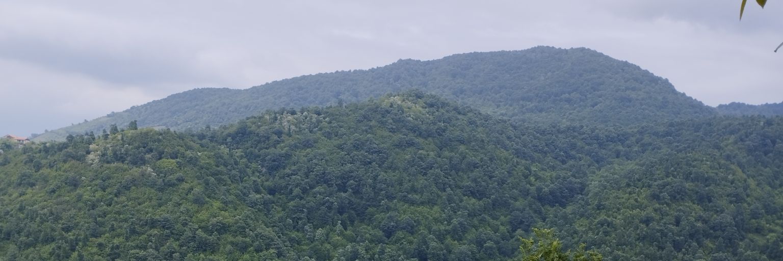 kzarair's profile banner image