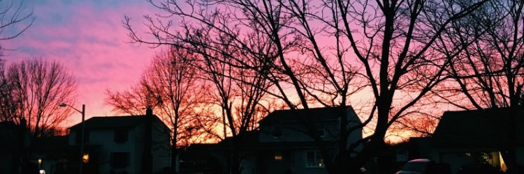 lianiortiz10's profile banner image