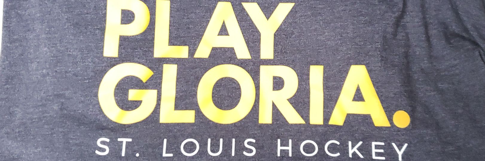 stlbf's profile banner image