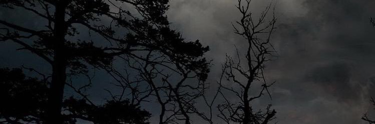𝐇𝐮𝐛𝐞𝐫𝐭 banner