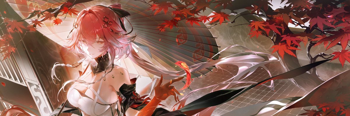 Xesfle banner
