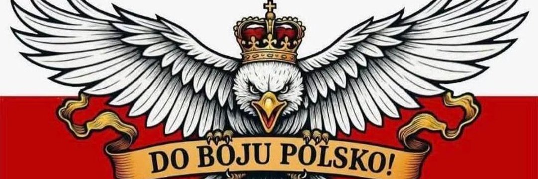 Joanna Jadwiga 🇵🇱 #RudaWronaOrłaNiePokona banner