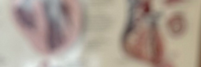 TedDodgeMD's profile banner image