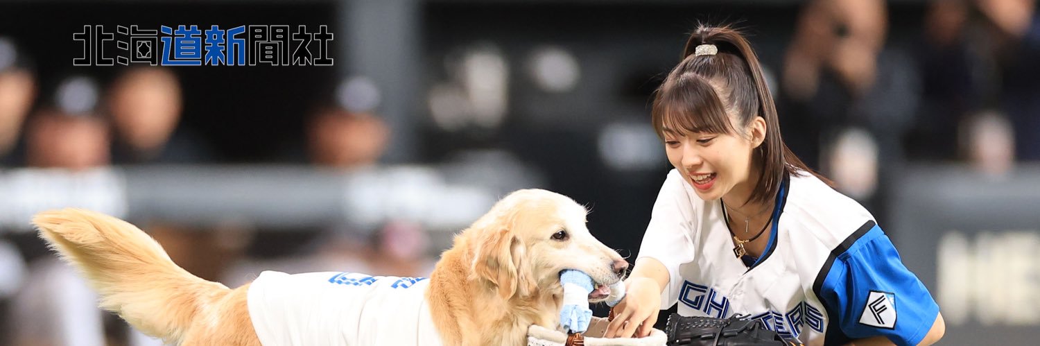 rinrin_eripon's profile banner image